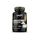 creatine creapure capsules amix black line