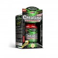 Creatine MagnaPower 120 Cápsulas