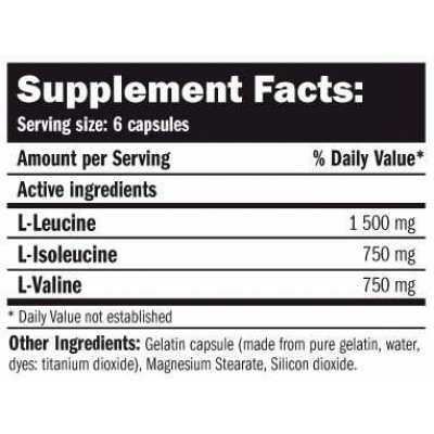 Bcaa Elite Rate 350 Cáp. Bcaa Elite Rate 350 Cáp.