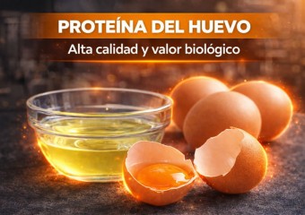 Proteína del huevo: Beneficios y propiedades nutricionales